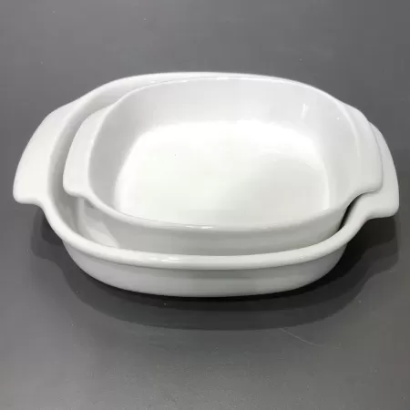 Set of 2 square bowls with handles for oven