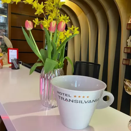 Big One cup and saucer 2500 ml